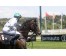  Carrera: G.P.Nacional Caballo: Roncal Monta: V.Janacek